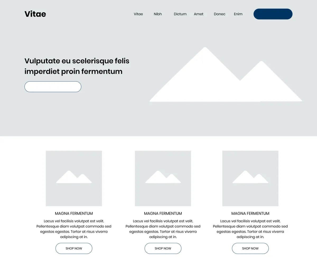 Desktop control mockup: a homepage hero banner followed directly by three product tiles