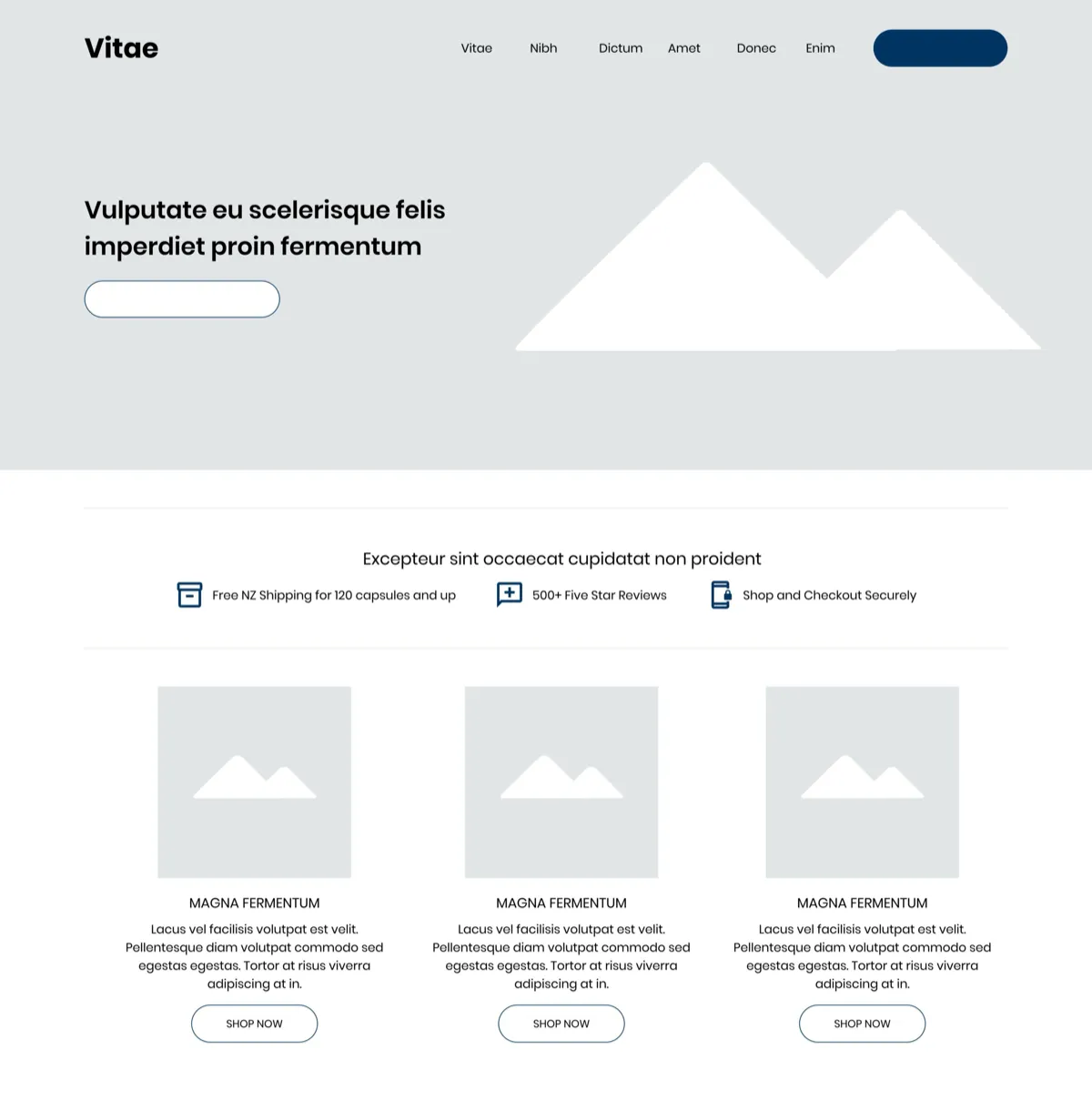 Desktop test mockup: the same homepage with a strip under the hero showing free shipping, five star reviews and secure checkout