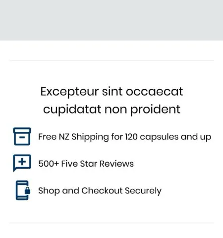 Mobile test mockup, just below the hero banner: stacked lines for free shipping, five star reviews and secure checkout