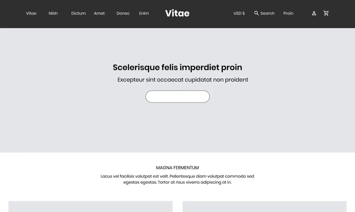 Desktop mockup of the test version: a dark header bar with a search link and magnifying glass icon beside the currency and account links