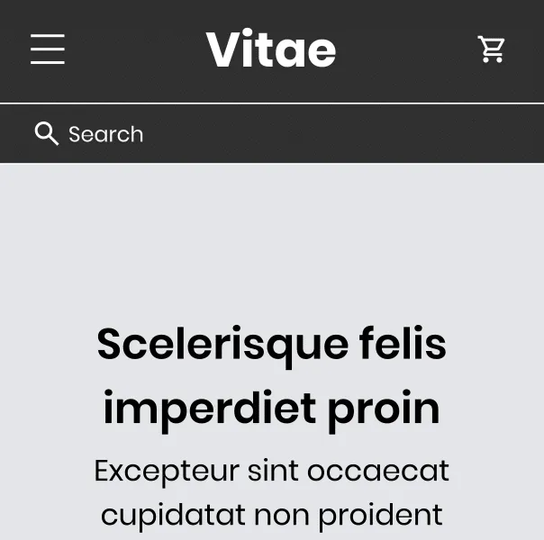 Top of the mobile mockup of the test version: a full-width search bar on its own row under the header