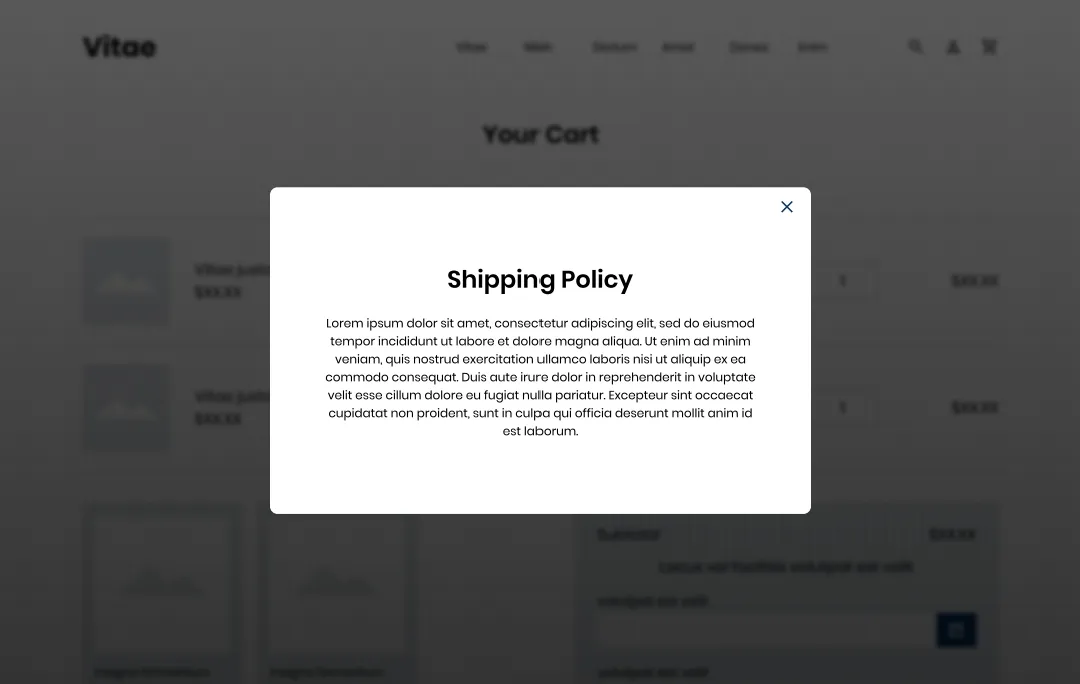 Desktop mockup of the shipping policy pop-up open over the cart page